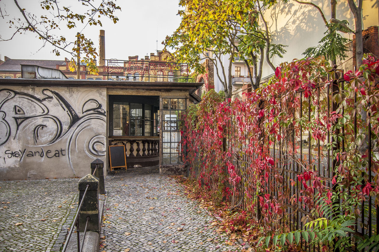 Autumn in Berlin: Forsaken manufactory's backyard colors